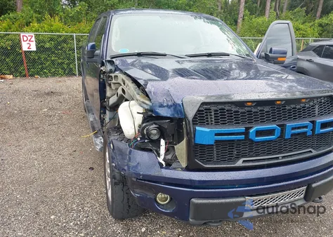 2009 Ford F-150 Fx4/King Ranch/Lariat/Platinum/Xl/Xlt from USA, damaged, VIN 1FTPW14V19FA32006